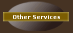 Other Services